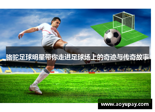骆驼足球明星带你走进足球场上的奇迹与传奇故事