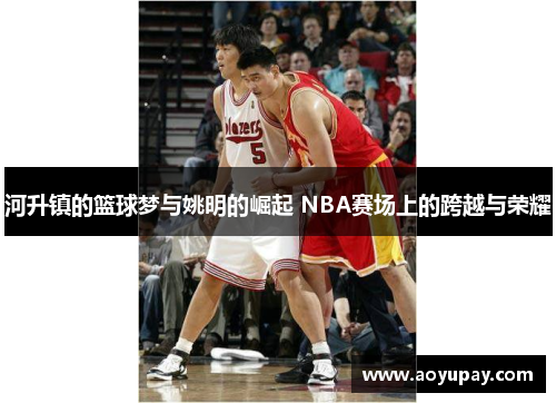 河升镇的篮球梦与姚明的崛起 NBA赛场上的跨越与荣耀