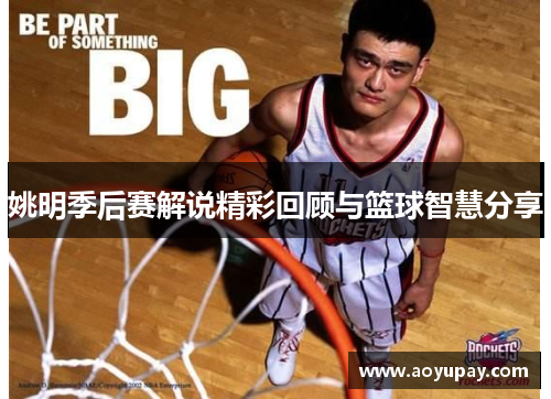 姚明季后赛解说精彩回顾与篮球智慧分享