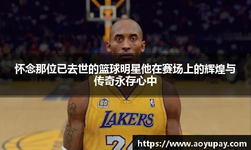 zoty中欧